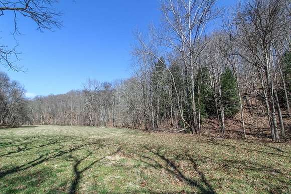 29.7 Acres of Recreational Land for Sale in Sardis, Ohio