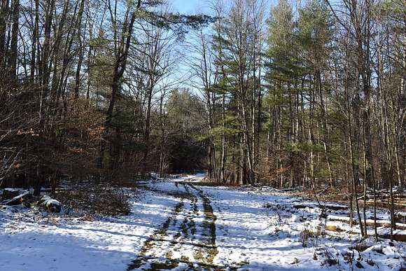 137.97 Acres of Recreational Land for Sale in Little Genesee, New York