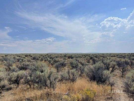 20 Acres of Recreational Land for Sale in Riley, Oregon