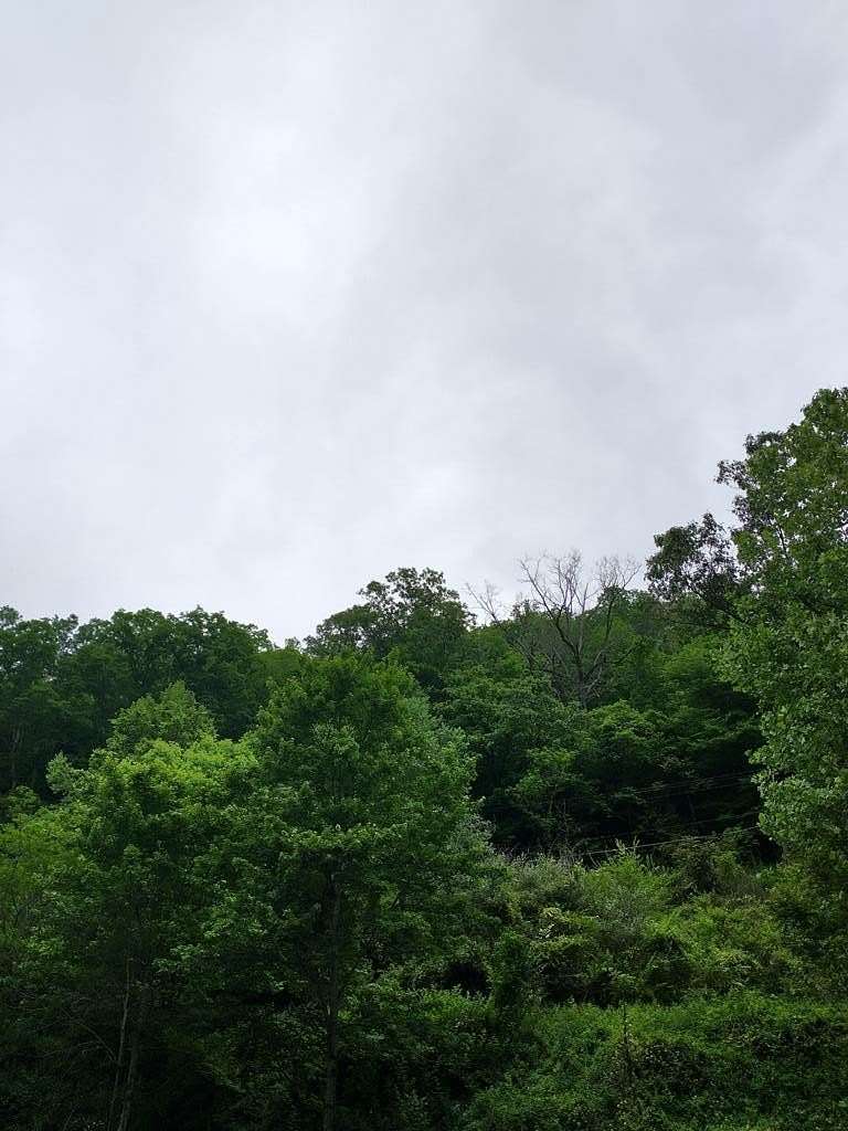 45.1 Acres of Recreational Land for Sale in Davy, West Virginia