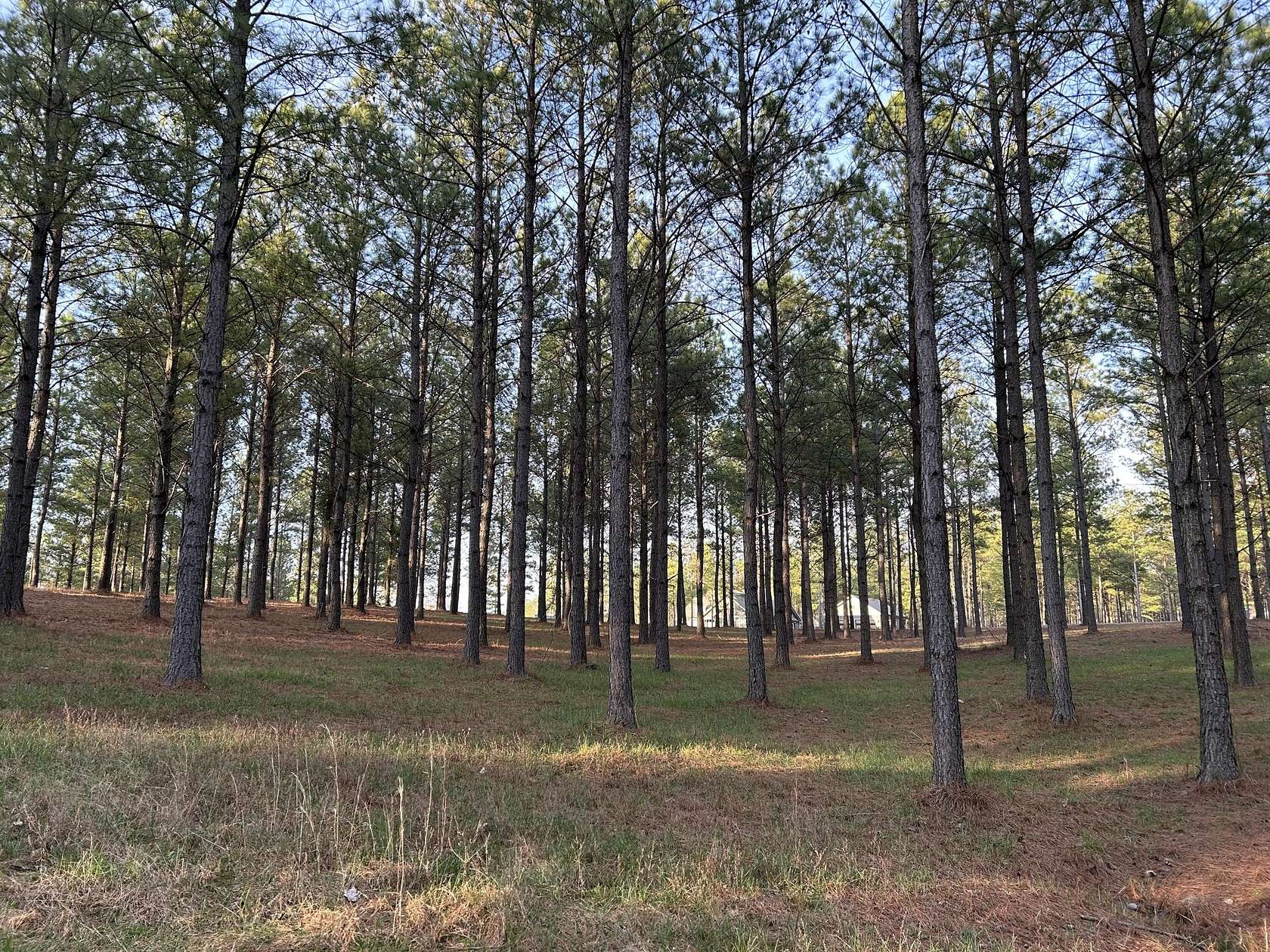 2 Acres of Residential Land for Sale in Jasper, Tennessee