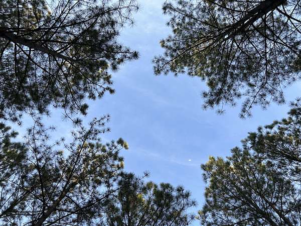 2 Acres of Residential Land for Sale in Jasper, Tennessee