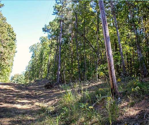 0.59 Acres of Residential Land for Sale in Martin, Georgia
