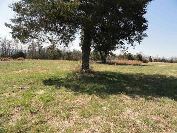 12 Acres of Land for Sale in Shirley, Arkansas