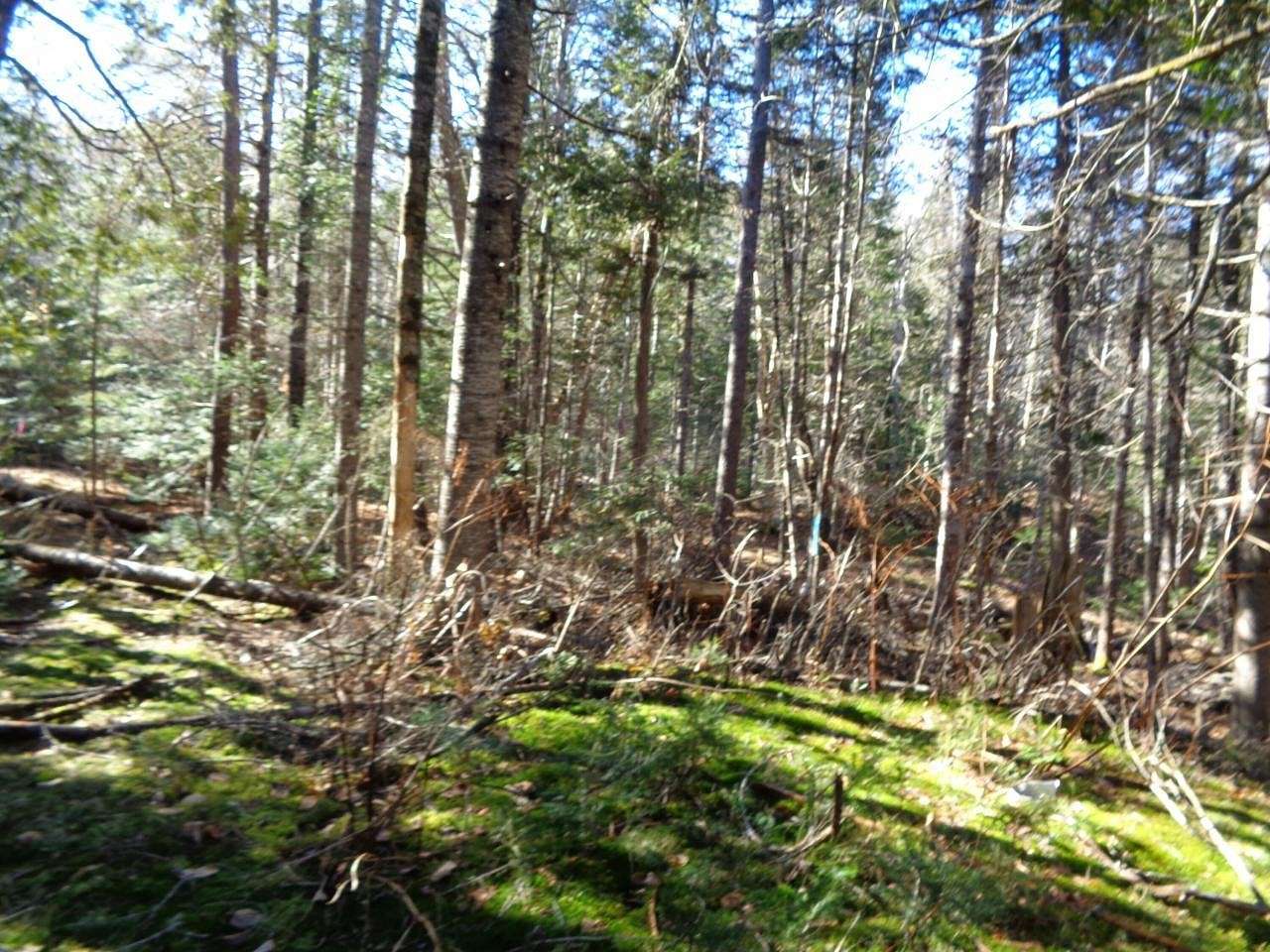 16 Acres of Land for Sale in Mariaville, Maine