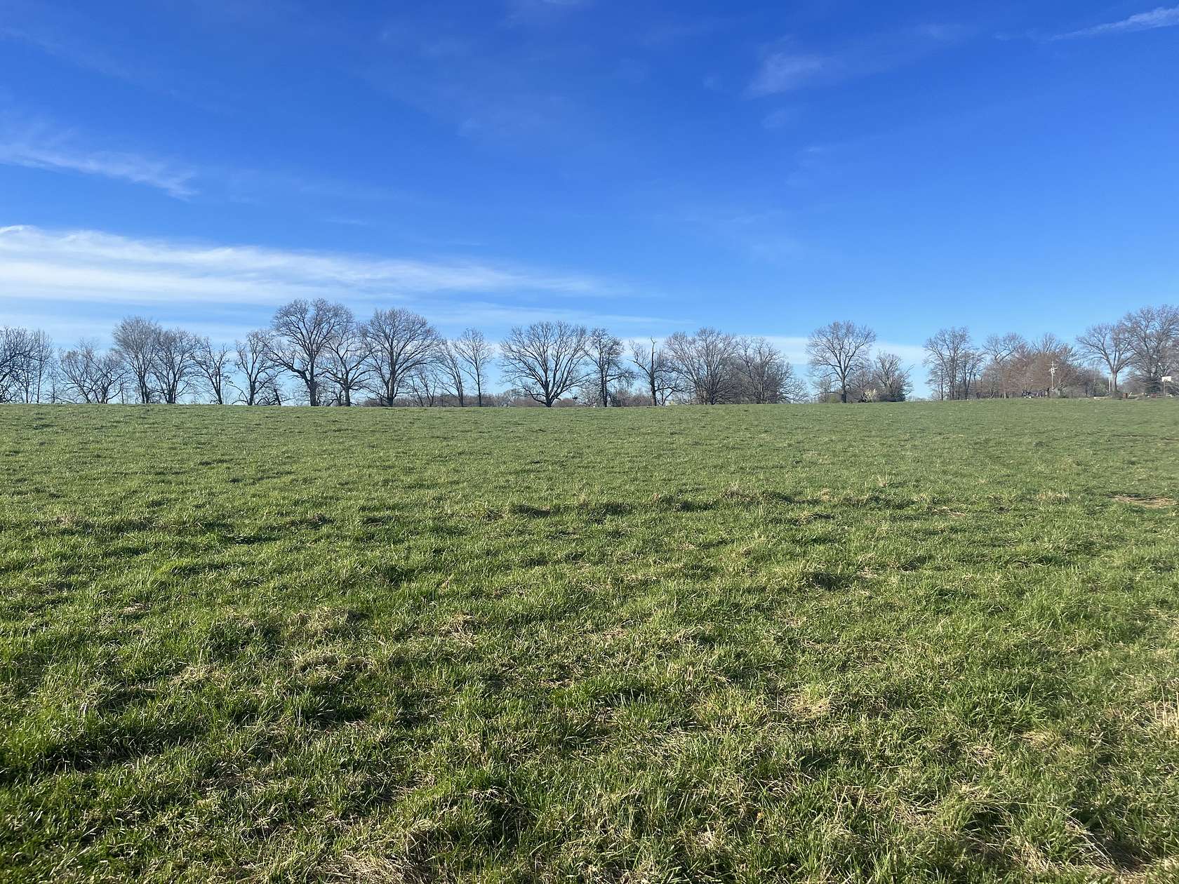 43.1 Acres of Agricultural Land for Sale in Mountain View, Missouri