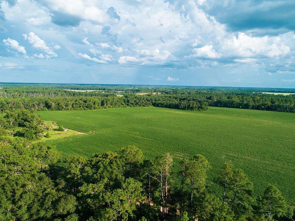 102 Acres of Land for Sale in Adel, Georgia