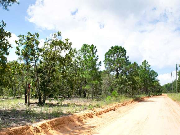 3.9 Acres of Residential Land for Sale in Mauk, Georgia