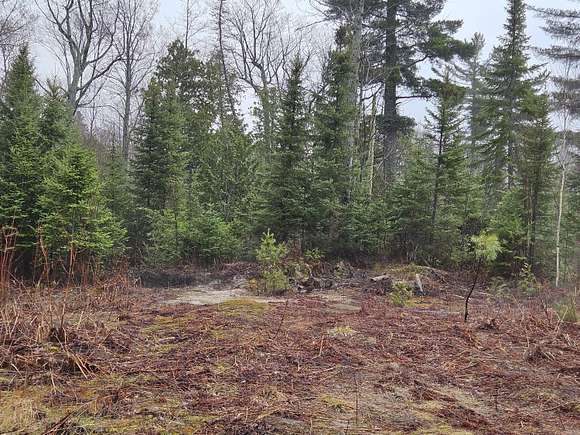 1.8 Acres of Land for Sale in Paradise, Michigan