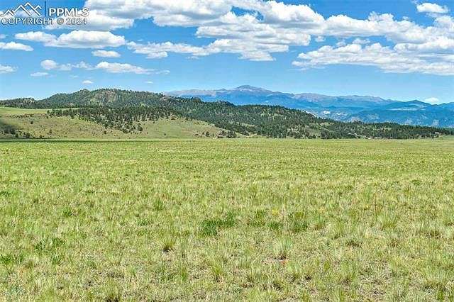 40 Acres of Land for Sale in Guffey, Colorado