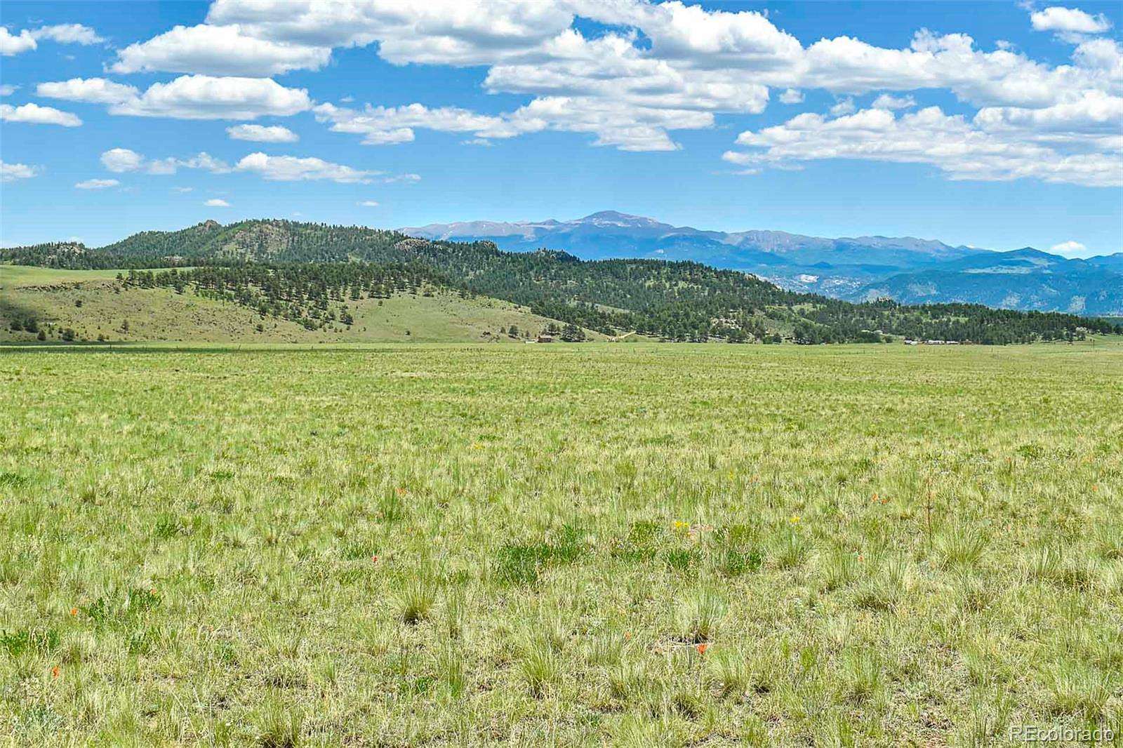 40 Acres of Land for Sale in Guffey, Colorado