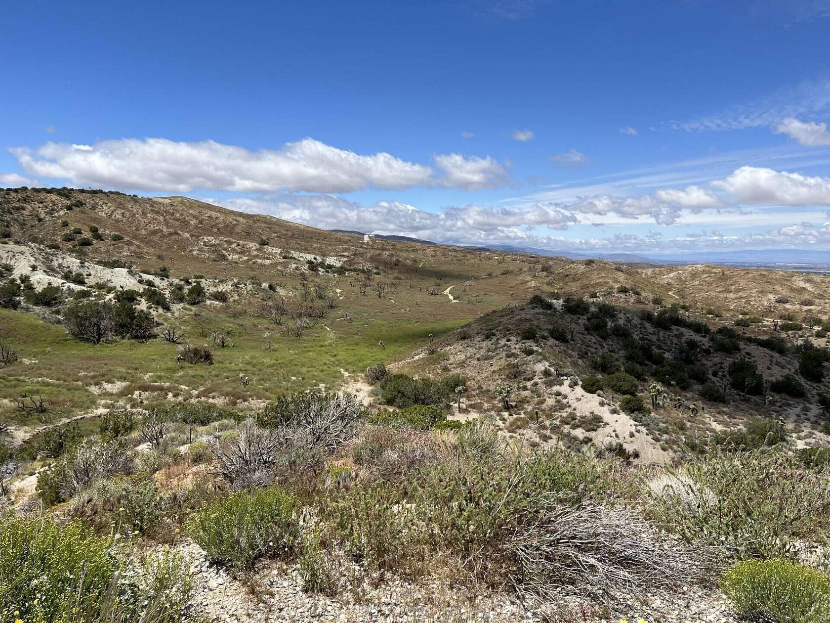 10 Acres of Land for Sale in Juniper Hills, California