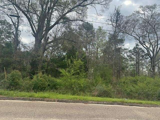 0.33 Acres of Residential Land for Sale in Andalusia, Alabama