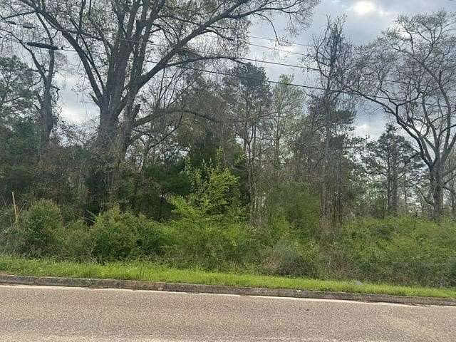 0.33 Acres of Residential Land for Sale in Andalusia, Alabama