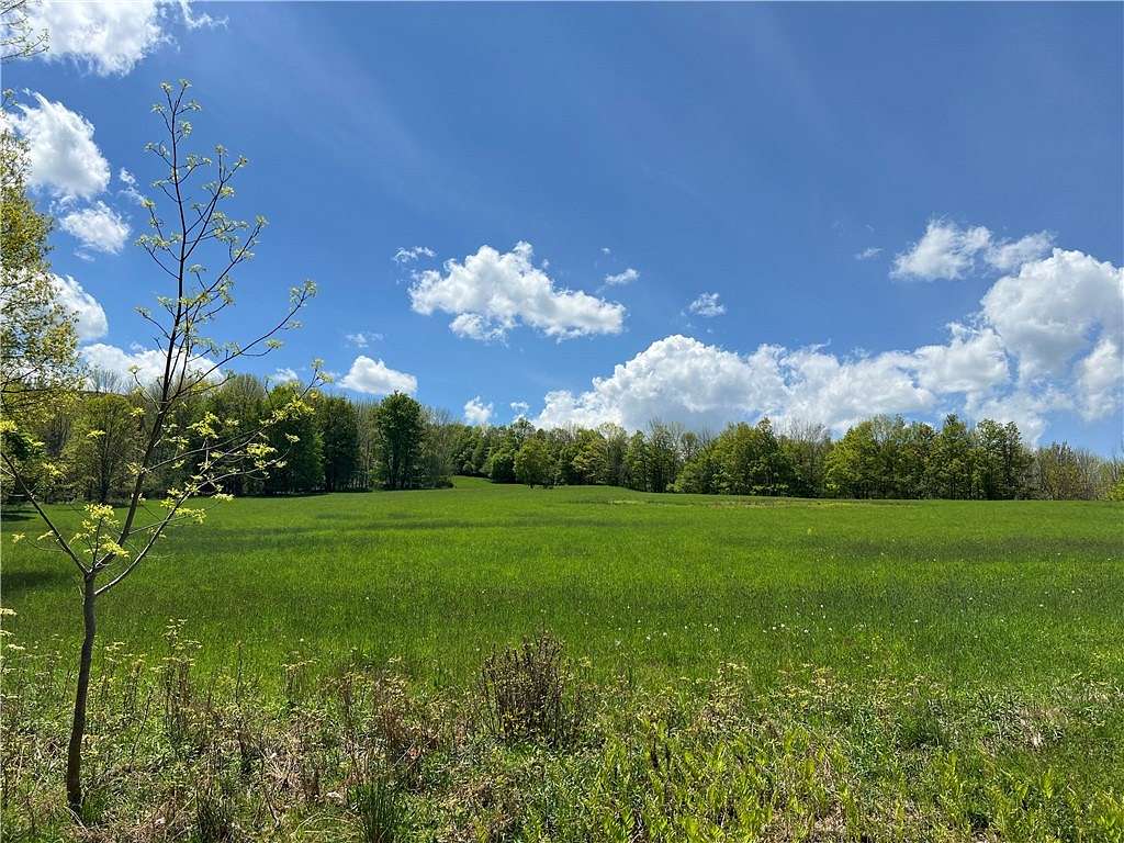289 Acres of Land for Sale in Roxbury, New York
