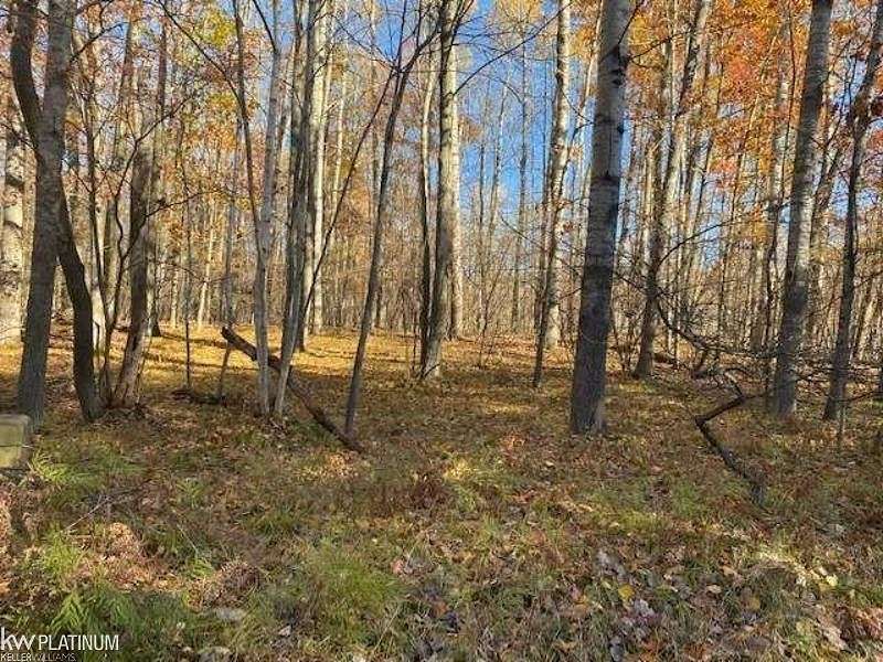 0.77 Acres of Residential Land for Sale in Farwell, Michigan