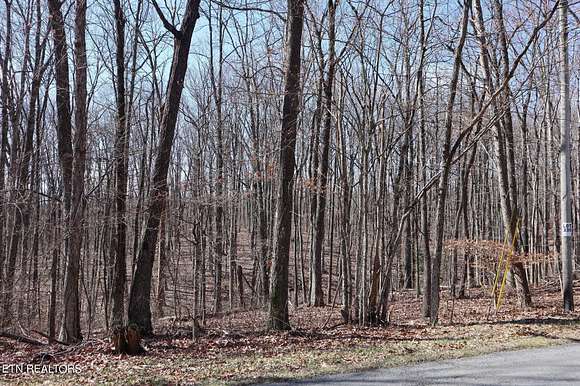 0.64 Acres of Residential Land for Sale in Crab Orchard, Tennessee