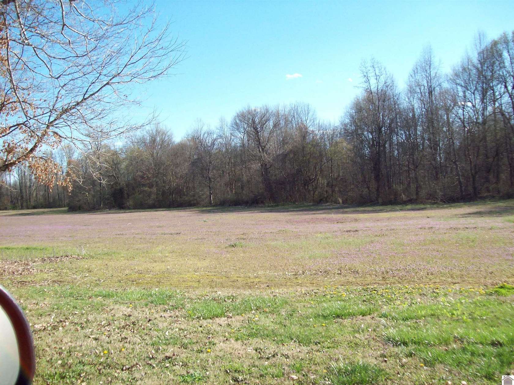 12 Acres of Land for Sale in Bardwell, Kentucky