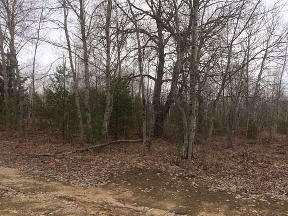 1 Acres of Land for Sale in Pellston, Michigan