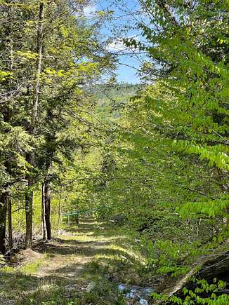 65.6 Acres of Recreational Land for Sale in Barnard, Vermont