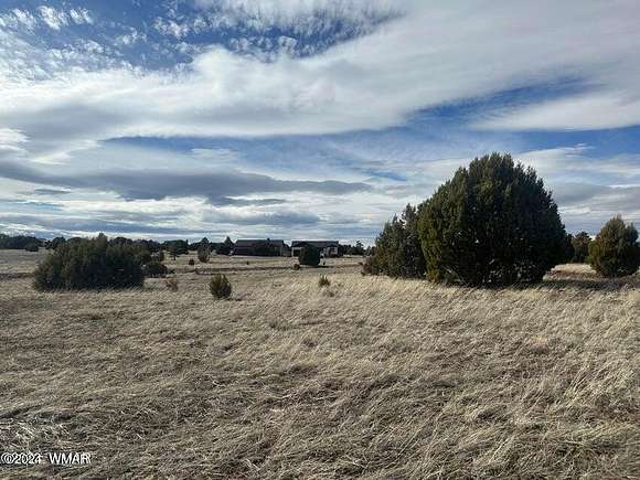 0.19 Acres of Residential Land for Sale in Show Low, Arizona