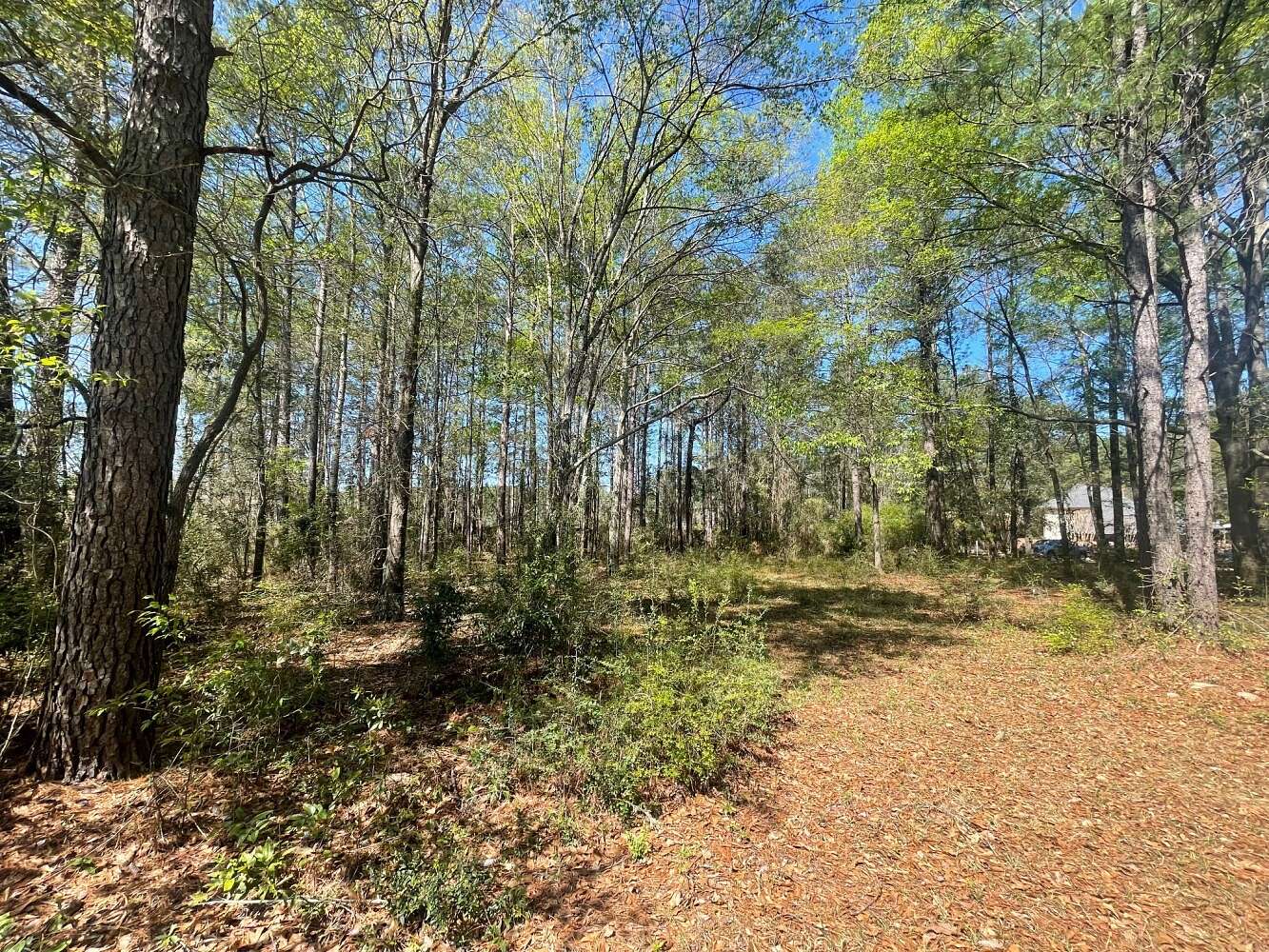 0.49 Acres of Land for Sale in Hattiesburg, Mississippi