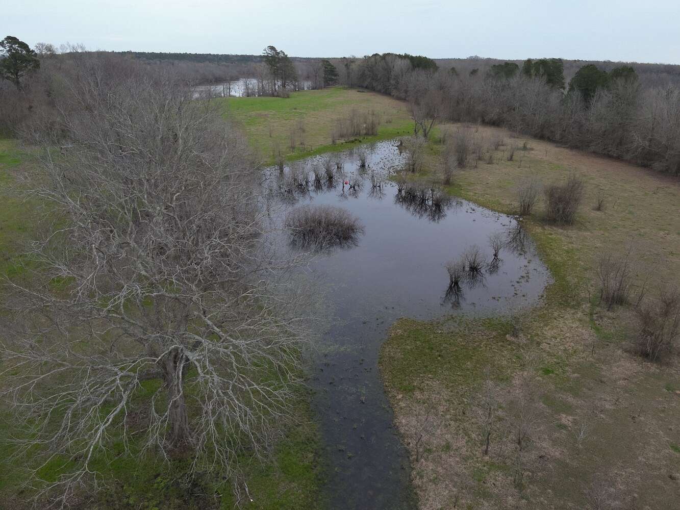 66.5 Acres of Recreational Land for Sale in Harrisonburg, Louisiana