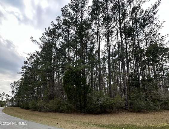 0.86 Acres of Residential Land for Sale in Havelock, North Carolina