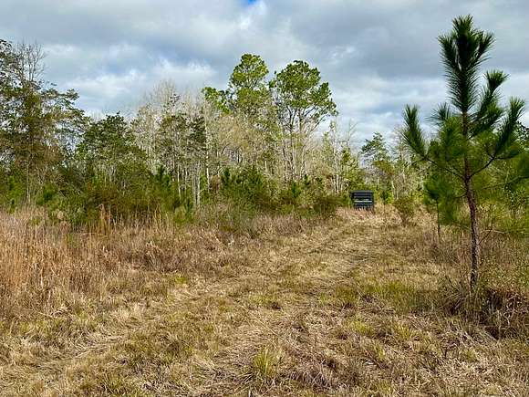 1,980 Acres of Recreational Land for Sale in Kiln, Mississippi