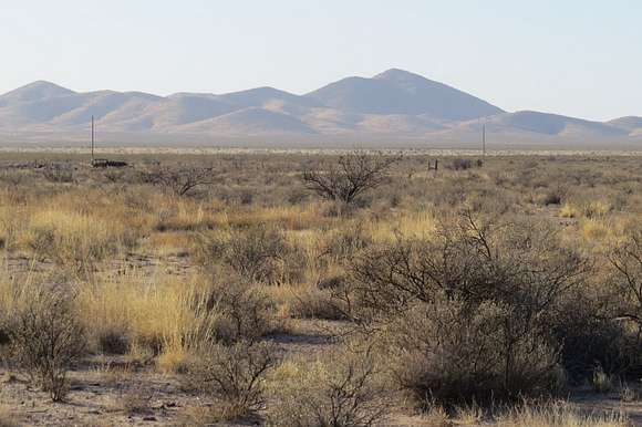 209 Acres of Land for Sale in Hachita, New Mexico