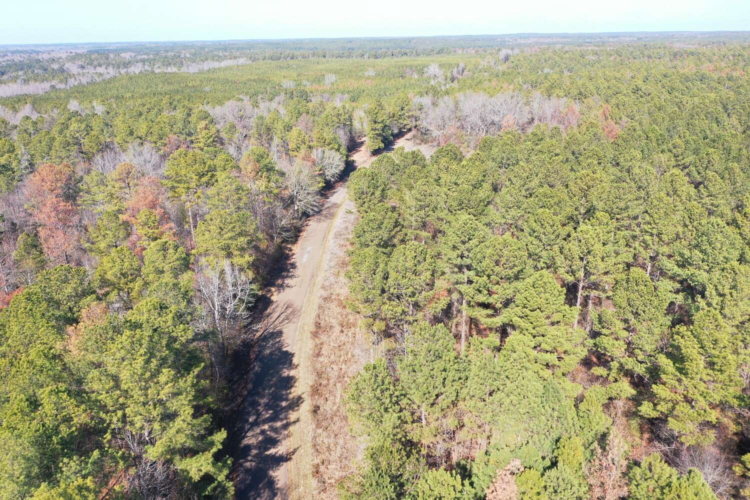 611 Acres of Recreational Land for Sale in Revive, Mississippi