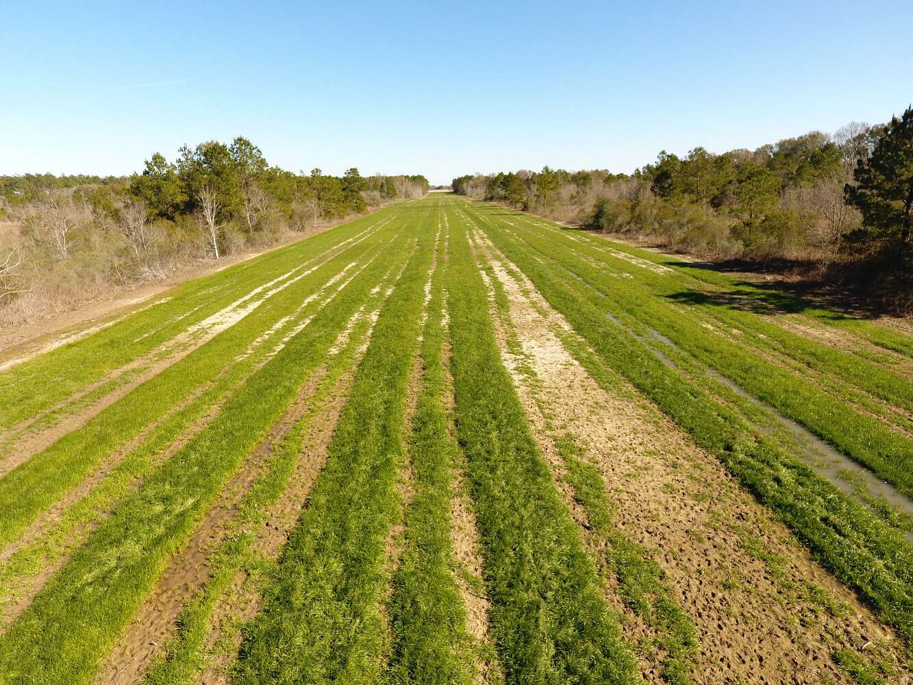 360 Acres of Recreational Land for Sale in Iowa, Louisiana