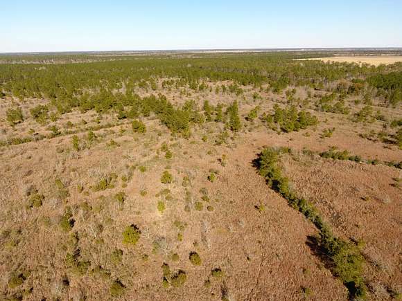 680 Acres of Land for Sale in Iowa, Louisiana