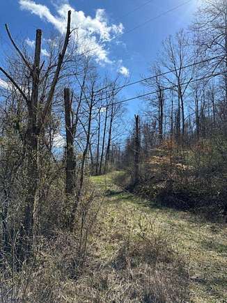 121 Acres of Land for Sale in Morehead, Kentucky