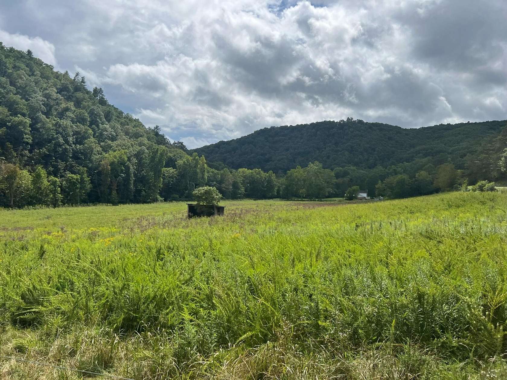 51.9 Acres of Agricultural Land with Home for Sale in Hinton, West Virginia