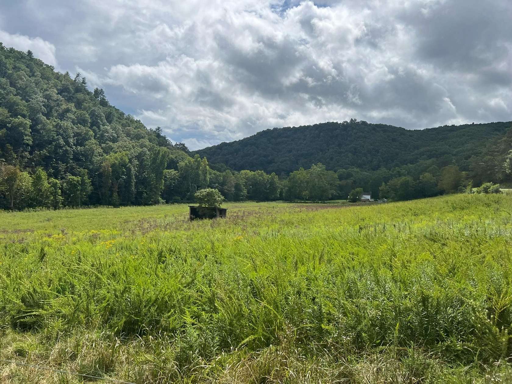 51.9 Acres of Land with Home for Sale in Hinton, West Virginia