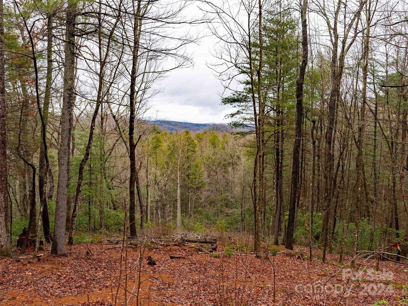 1.6 Acres of Residential Land for Sale in Flat Rock, North Carolina