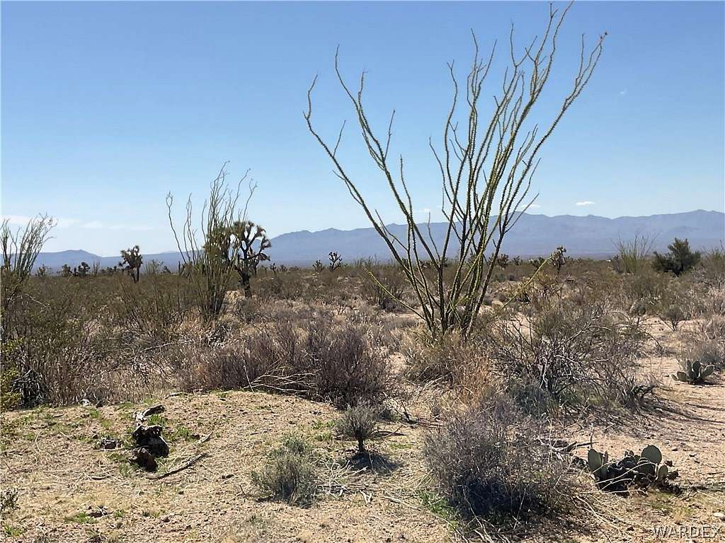 80.4 Acres of Recreational Land & Farm for Sale in Yucca, Arizona