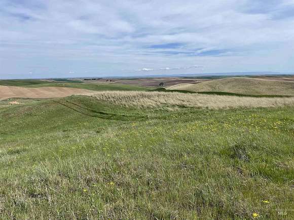 20 Acres of Agricultural Land for Sale in Moscow, Idaho