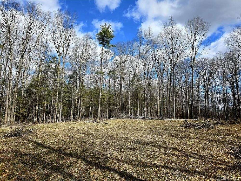 17.8 Acres of Land for Sale in Crawford Town, New York
