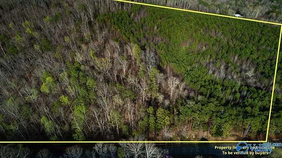 32.5 Acres of Land for Sale in Langston, Alabama
