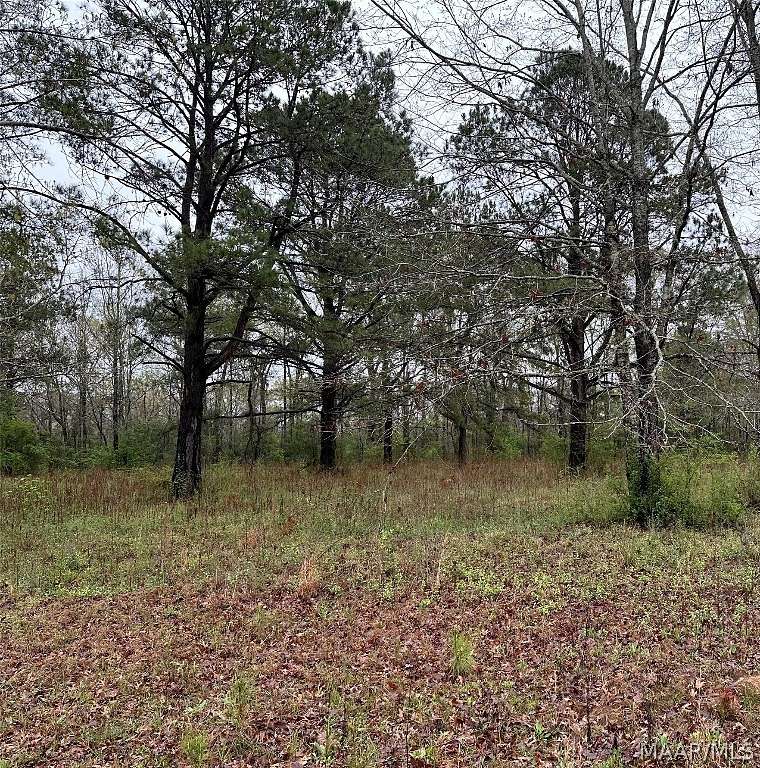 0.96 Acres of Residential Land for Sale in Selma, Alabama