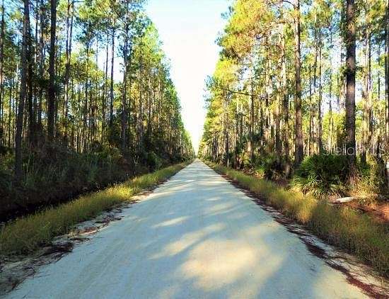 11.8 Acres of Land for Sale in Pierson, Florida