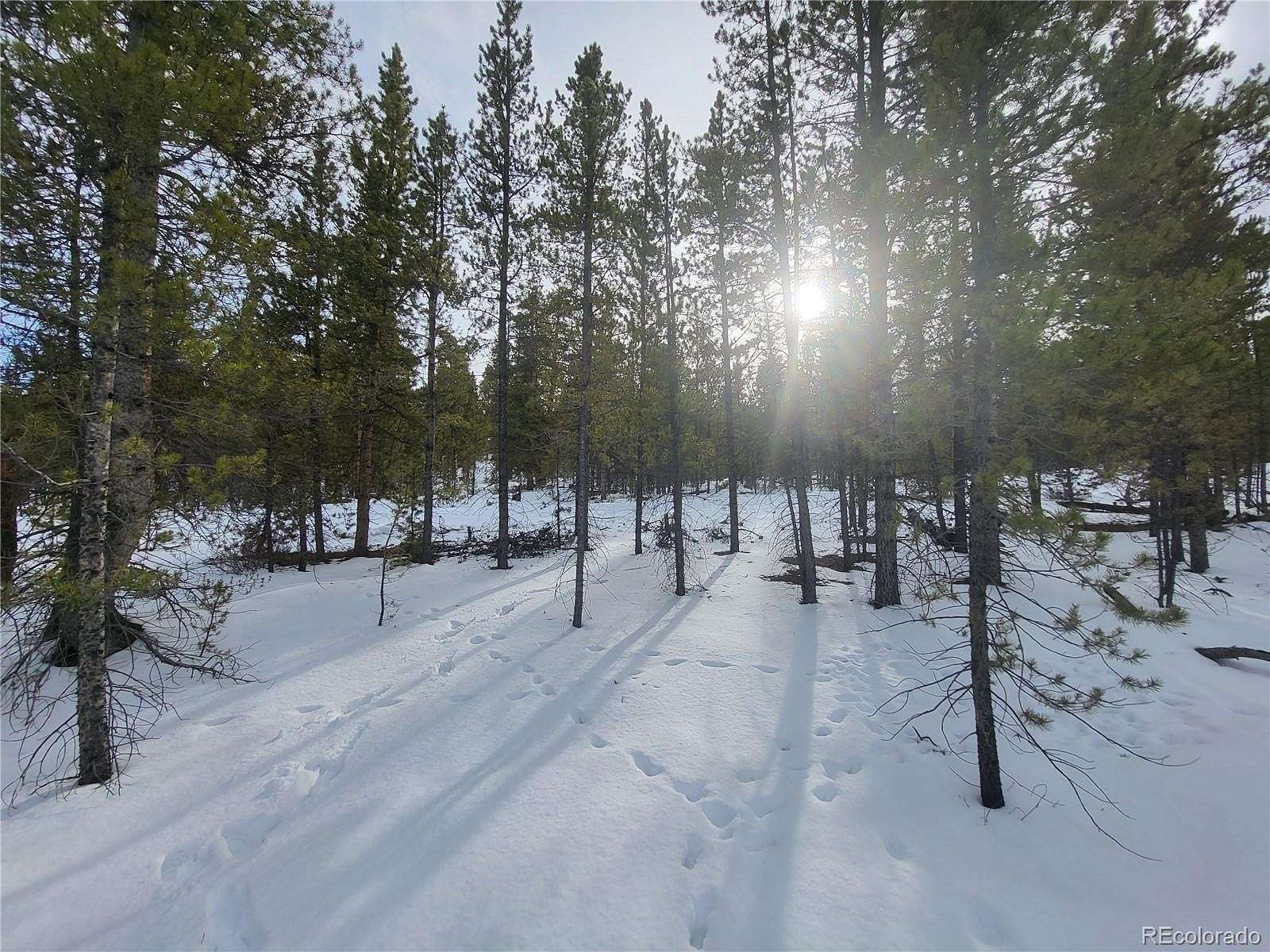 0.6 Acres of Residential Land for Sale in Twin Lakes, Colorado