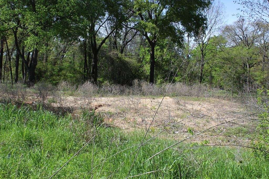 0.39 Acres of Residential Land for Sale in Gun Barrel City, Texas