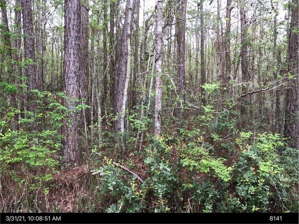 3.7 Acres of Residential Land for Sale in Townsend, Georgia
