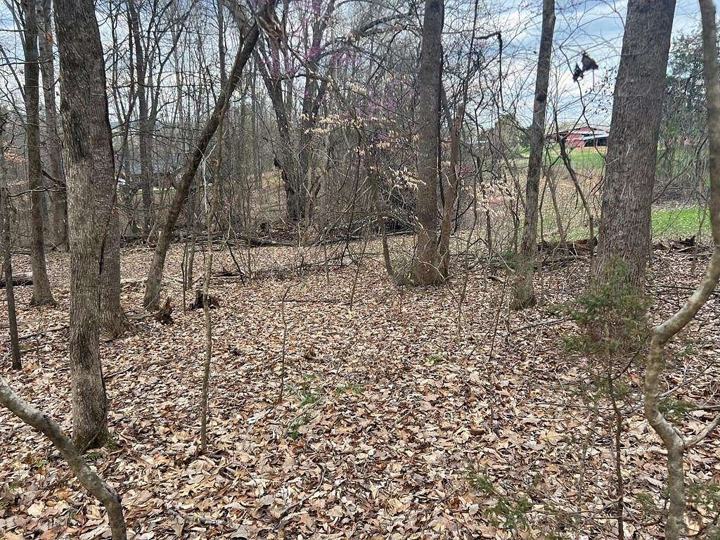 0.64 Acres of Residential Land for Sale in Kodak, Tennessee