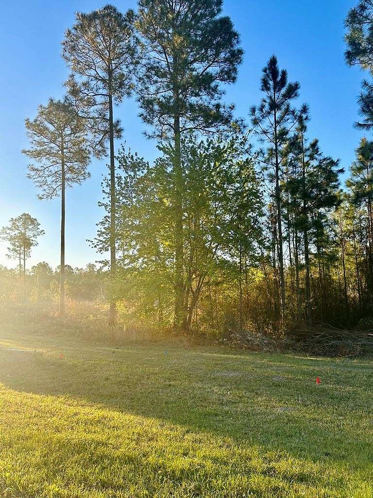 2.6 Acres of Residential Land for Sale in Douglas, Georgia