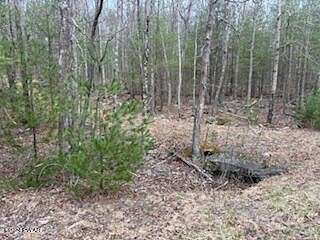 10 Acres of Residential Land for Sale in Narrowsburg, New York