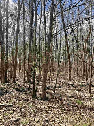 5.6 Acres of Land for Sale in Cordova, Tennessee